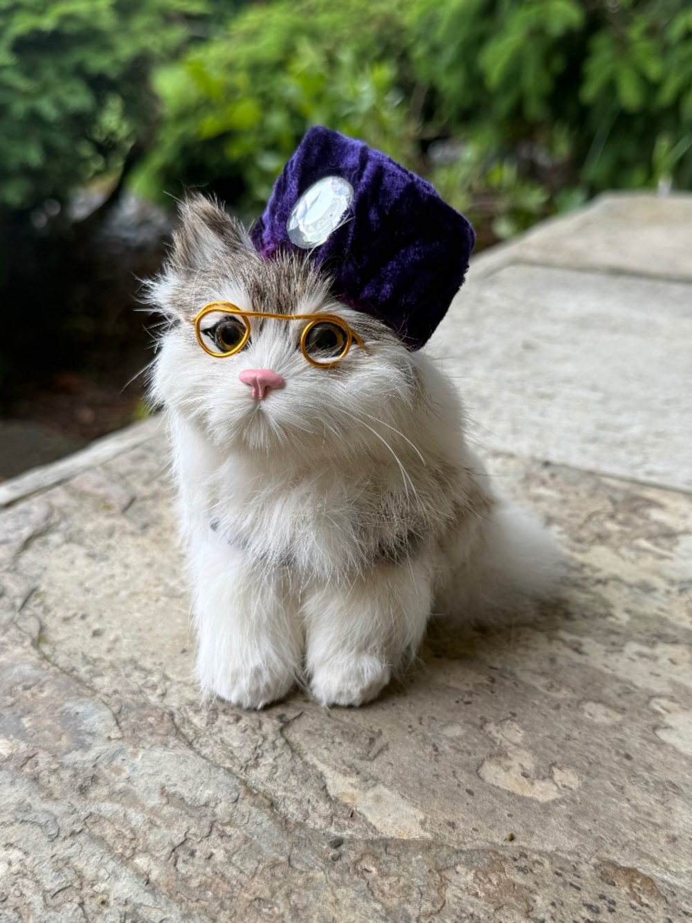 Cute Realistic Fancy Kitten Cat Rabbit Fur With Necklace, Hat & Glasses 6” Tall.